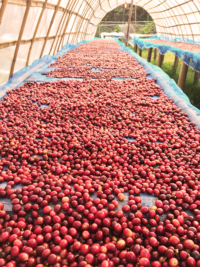 single-origin-coffee