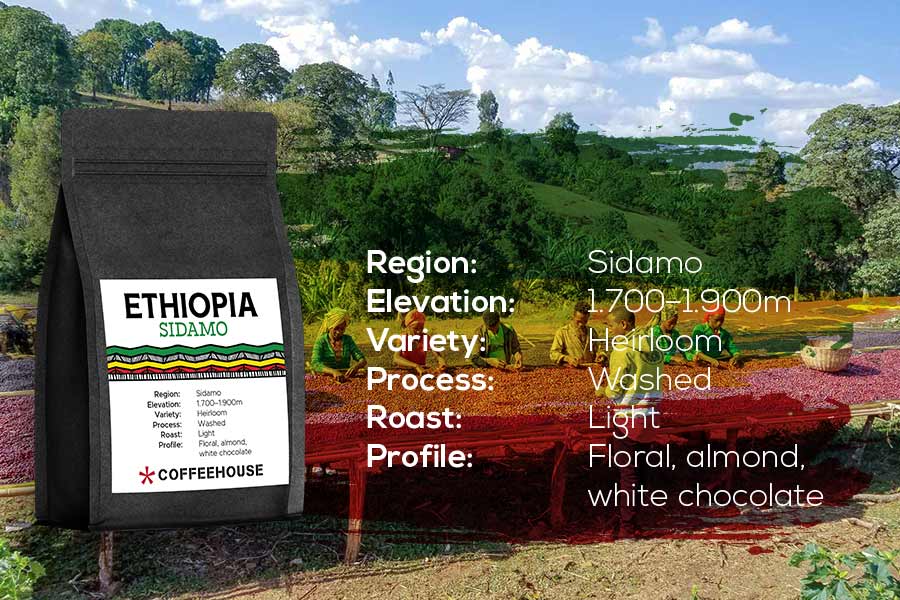 single origin coffeeshops